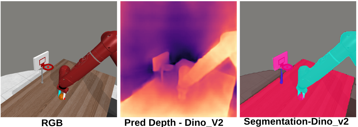 DINOv2 Pipeline Architecture
